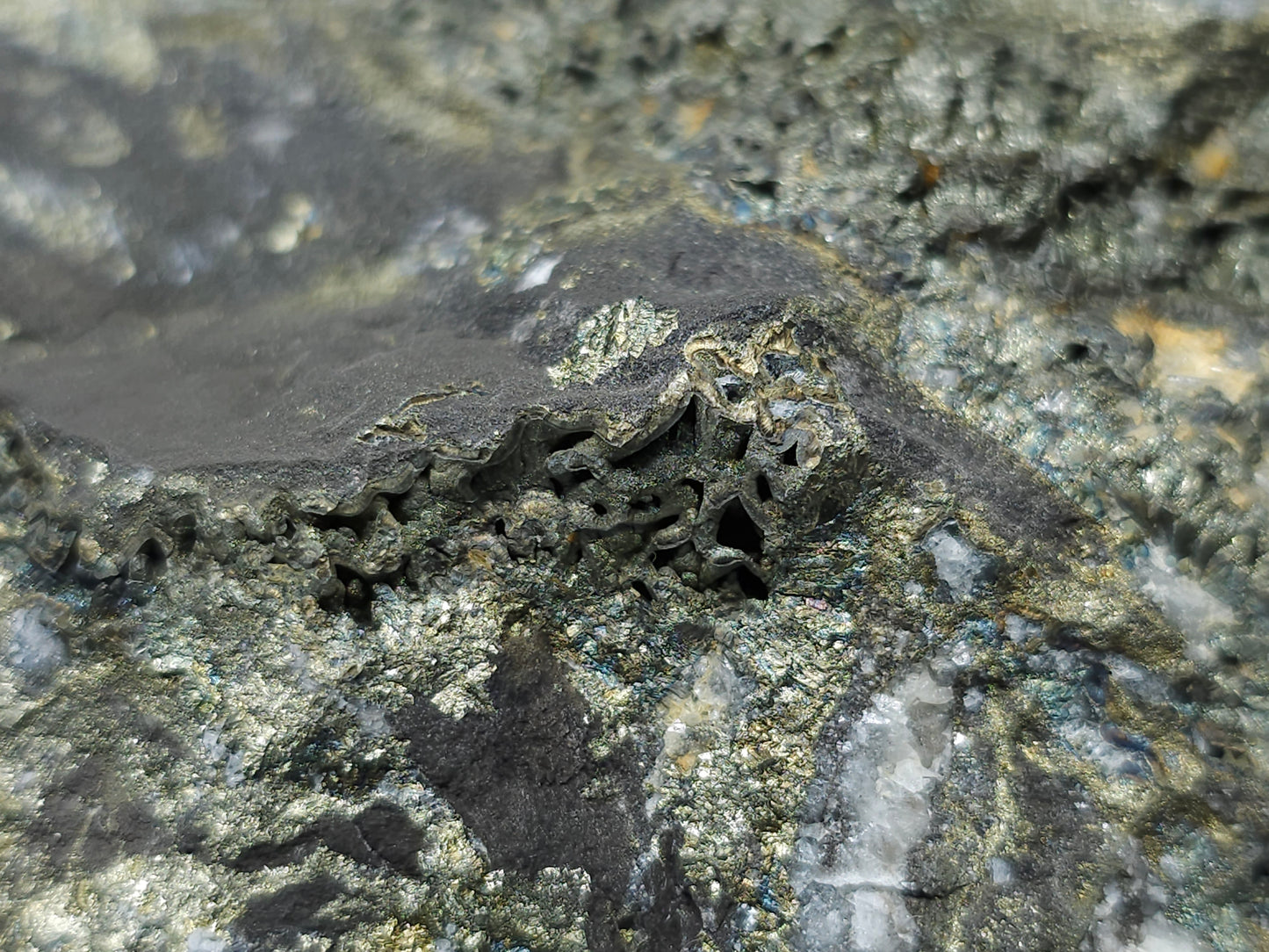 #66014 Golden Chalcopyrite ore with Nailhead Spar Calcite formation, it also have fossil flower with peacock Chalcopyrite ore coating with multiple fossils