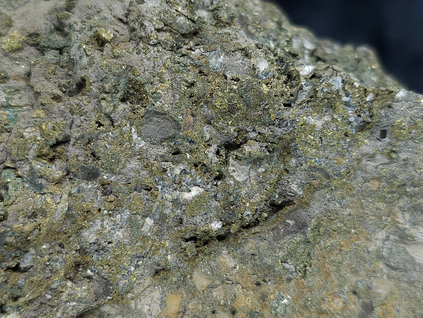 #66018 Fossil flower with peacock Chalcopyrite ore coating