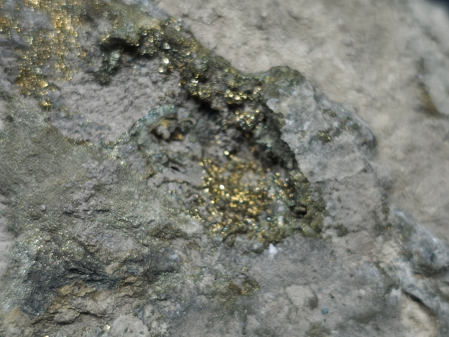 #66019 Fossil flower with peacock Chalcopyrite ore  coating with small pieces of beautiful fossils