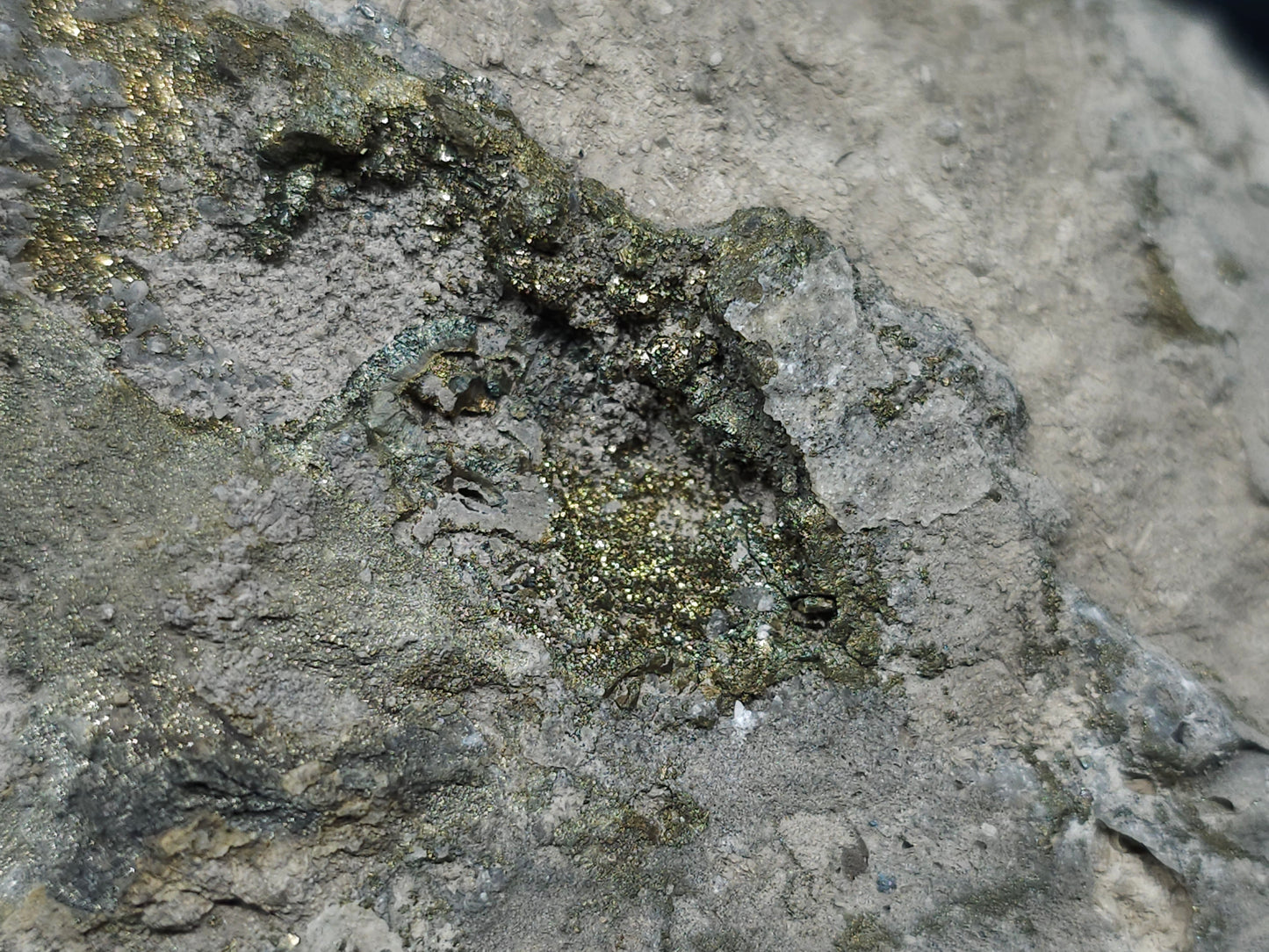 #66019 Fossil flower with peacock Chalcopyrite ore  coating with small pieces of beautiful fossils