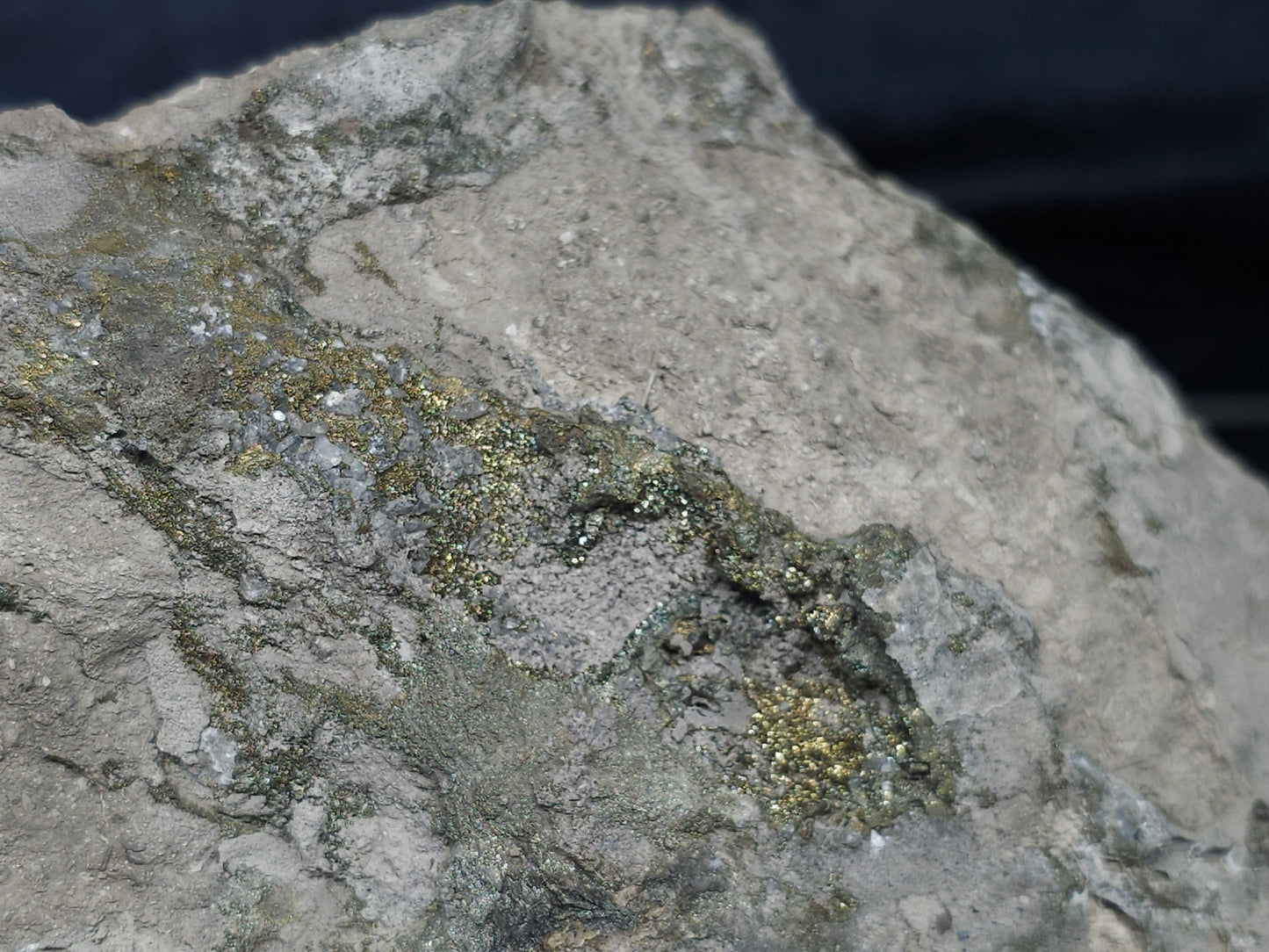 #66019 Fossil flower with peacock Chalcopyrite ore  coating with small pieces of beautiful fossils