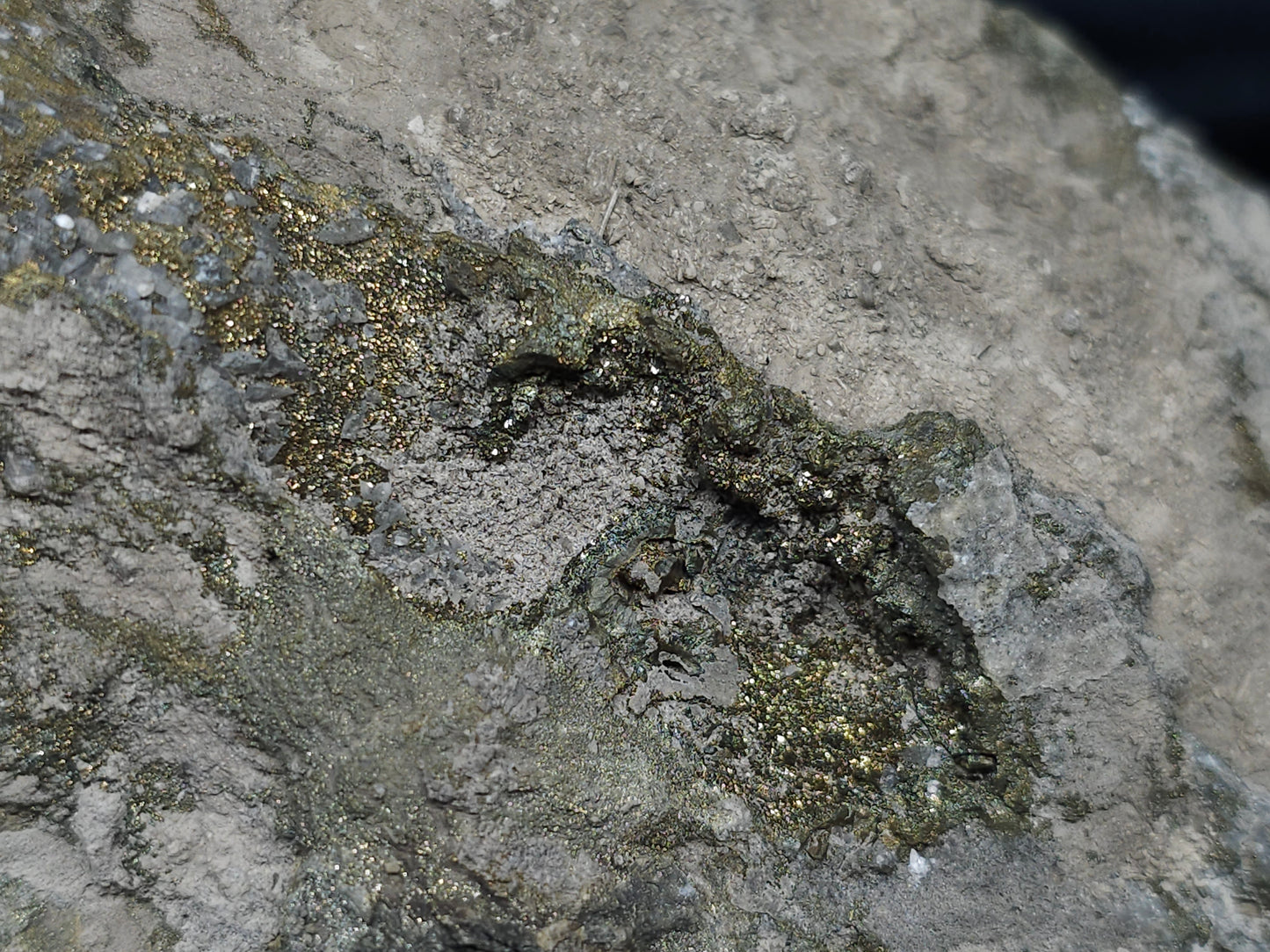 #66019 Fossil flower with peacock Chalcopyrite ore  coating with small pieces of beautiful fossils