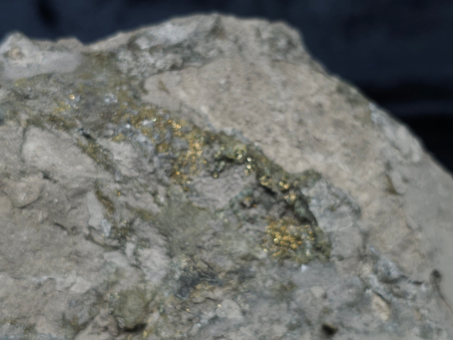 #66019 Fossil flower with peacock Chalcopyrite ore  coating with small pieces of beautiful fossils