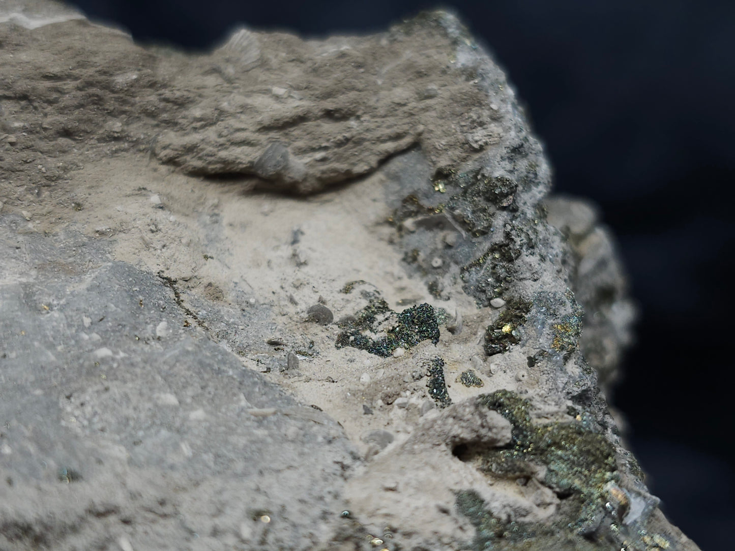 #66019 Fossil flower with peacock Chalcopyrite ore  coating with small pieces of beautiful fossils