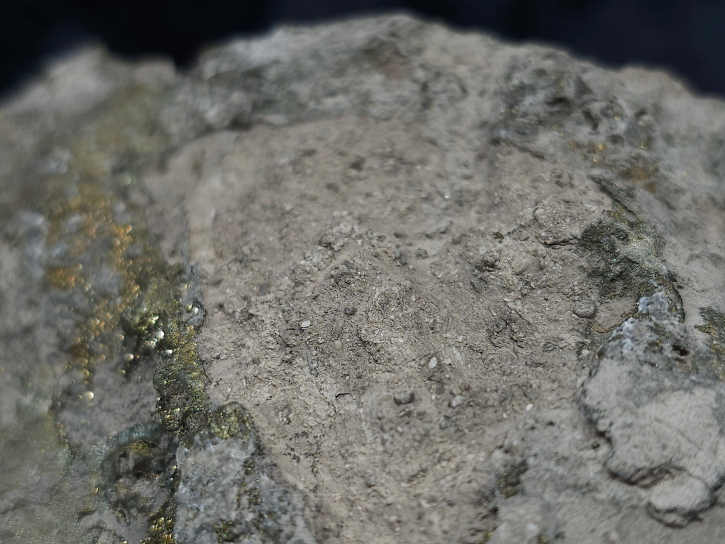 #66019 Fossil flower with peacock Chalcopyrite ore  coating with small pieces of beautiful fossils