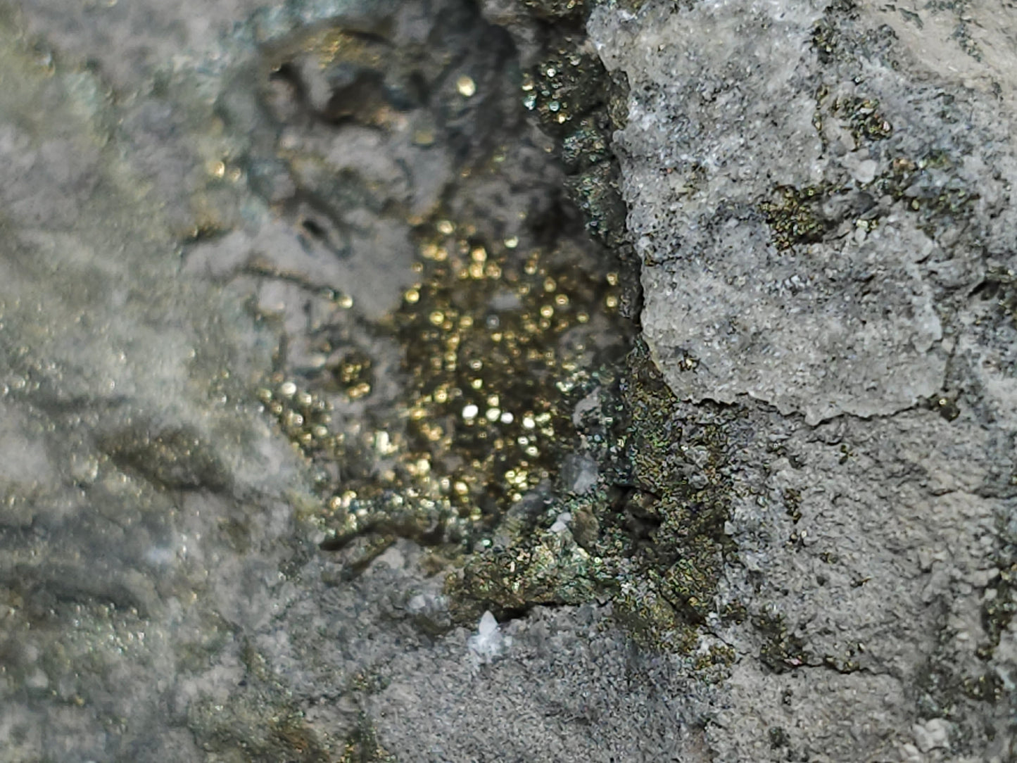 #66019 Fossil flower with peacock Chalcopyrite ore  coating with small pieces of beautiful fossils