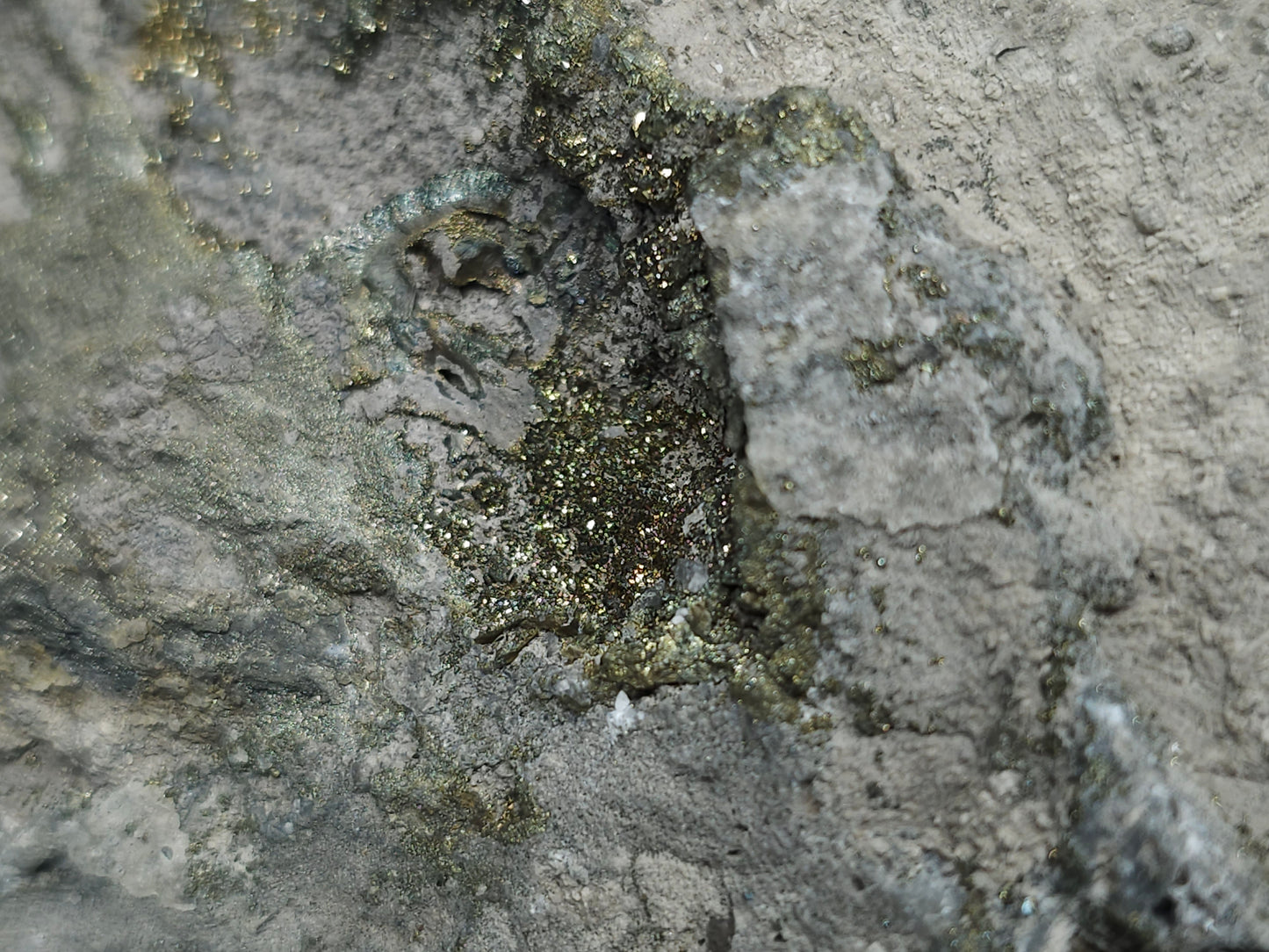 #66019 Fossil flower with peacock Chalcopyrite ore  coating with small pieces of beautiful fossils