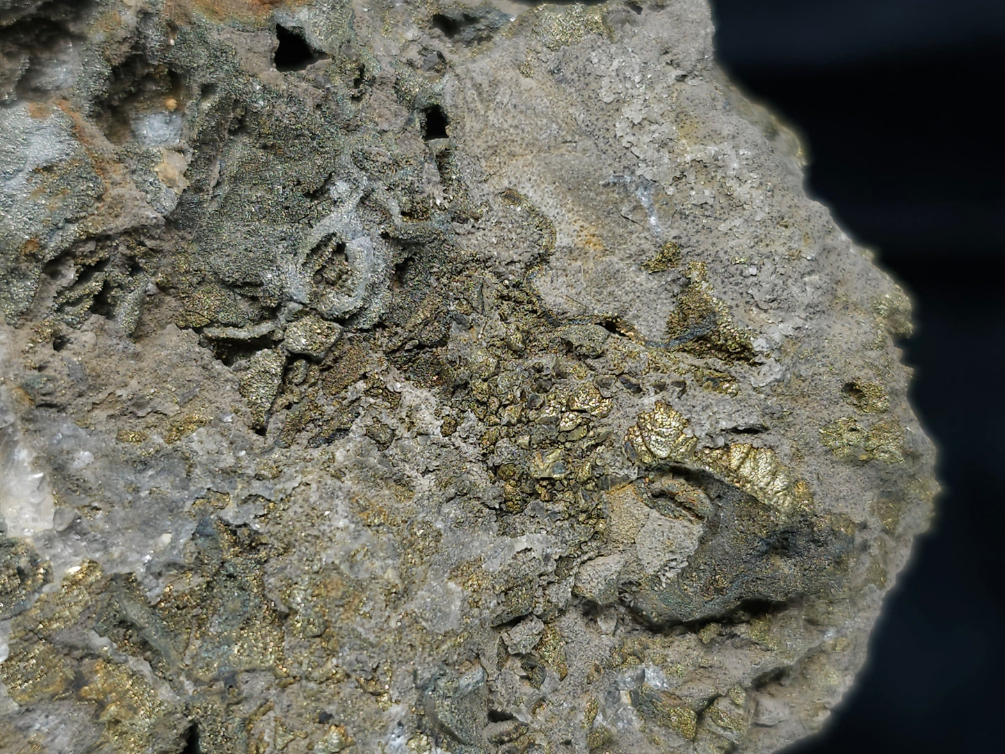 #66036 Chalcopyrite ore with tiny lines of calcite, it also have fossil flower with peacock Chalcopyrite ore coating with multiple fossils