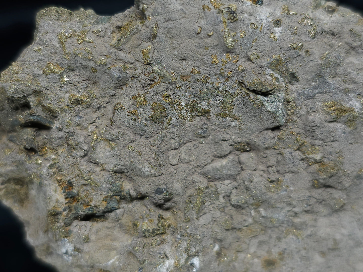 #66036 Chalcopyrite ore with tiny lines of calcite, it also have fossil flower with peacock Chalcopyrite ore coating with multiple fossils