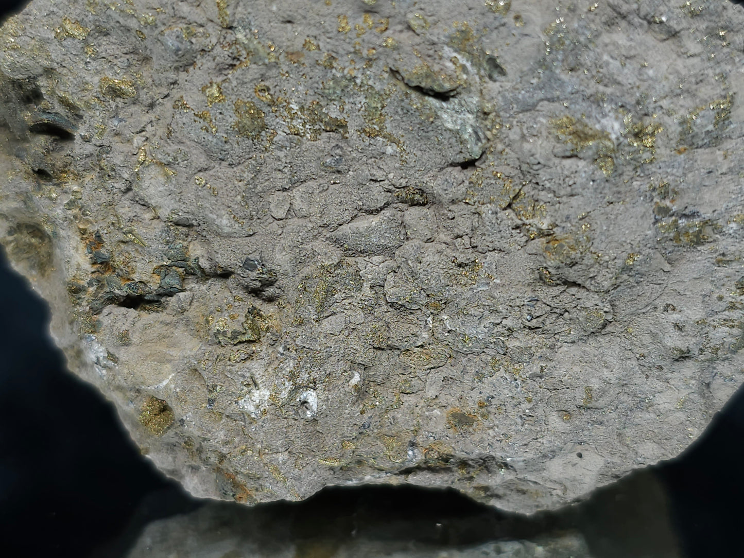 #66036 Chalcopyrite ore with tiny lines of calcite, it also have fossil flower with peacock Chalcopyrite ore coating with multiple fossils