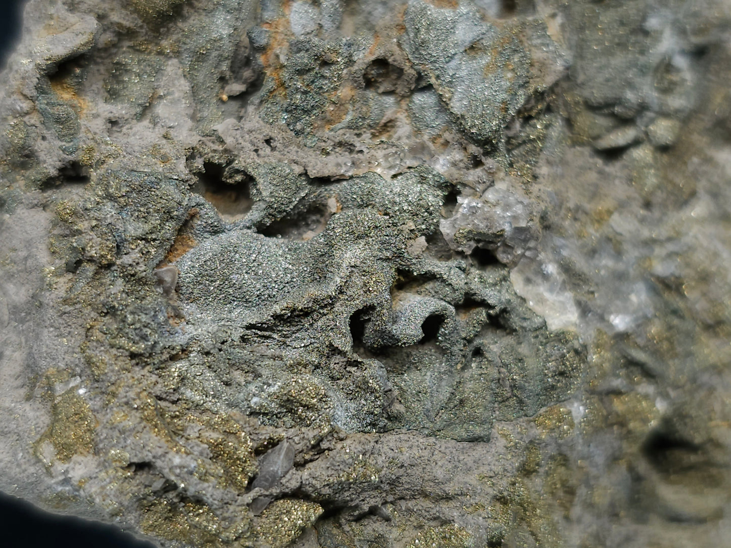 #66036 Chalcopyrite ore with tiny lines of calcite, it also have fossil flower with peacock Chalcopyrite ore coating with multiple fossils