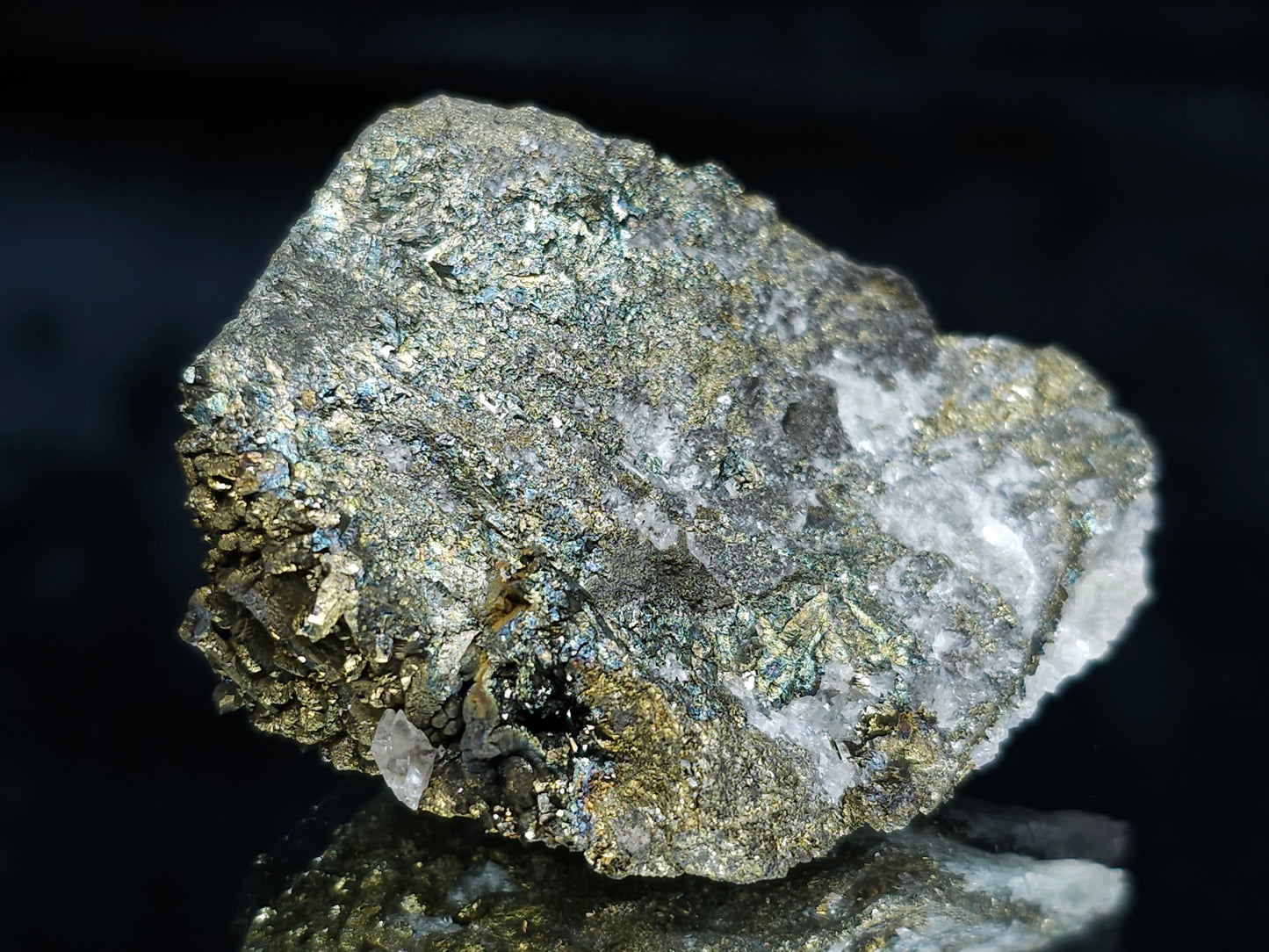 #66038 Iridescent Chalcopyrite with Marcasite formation, it also have beautiful lines of calcite with multiple fossils