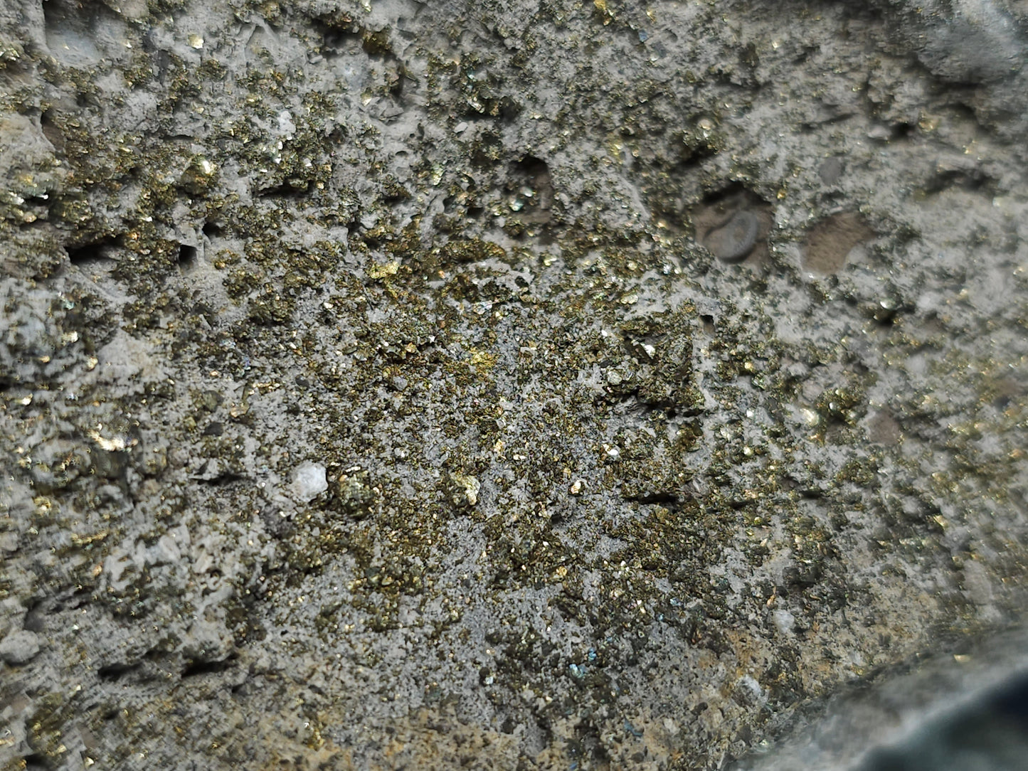 #66044 Super clear Nailhead Spar Calcite including Marcasite, golden Chalcopyrite ore with tiny fossils