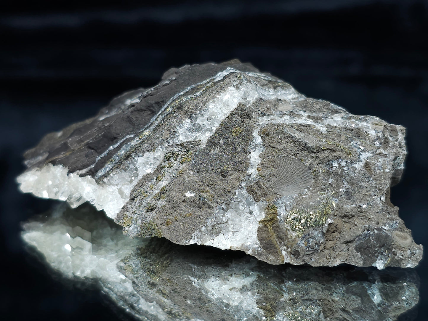 #66048 Hydrothermal Nailhead Spar Calcite geode with golden Chalcopyrite ore deposit formation among small fossils