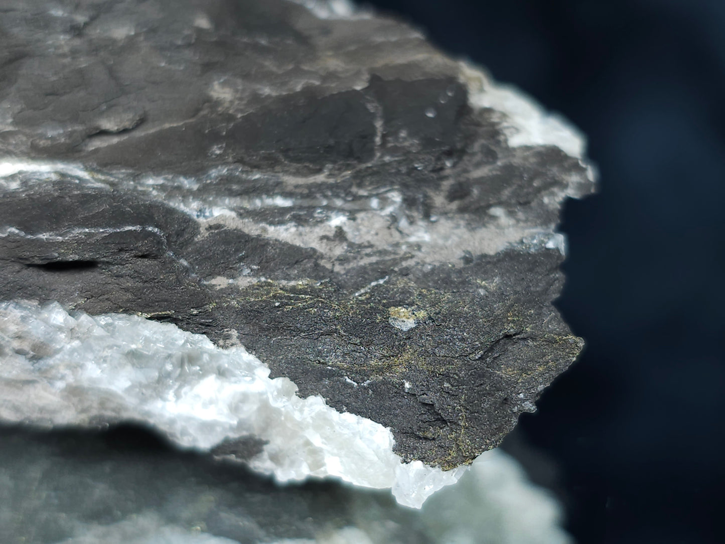 #66048 Hydrothermal Nailhead Spar Calcite geode with golden Chalcopyrite ore deposit formation among small fossils