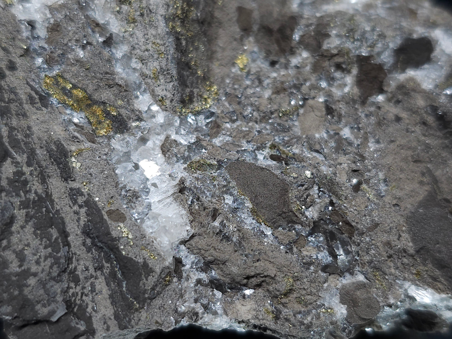 #66048 Hydrothermal Nailhead Spar Calcite geode with golden Chalcopyrite ore deposit formation among small fossils