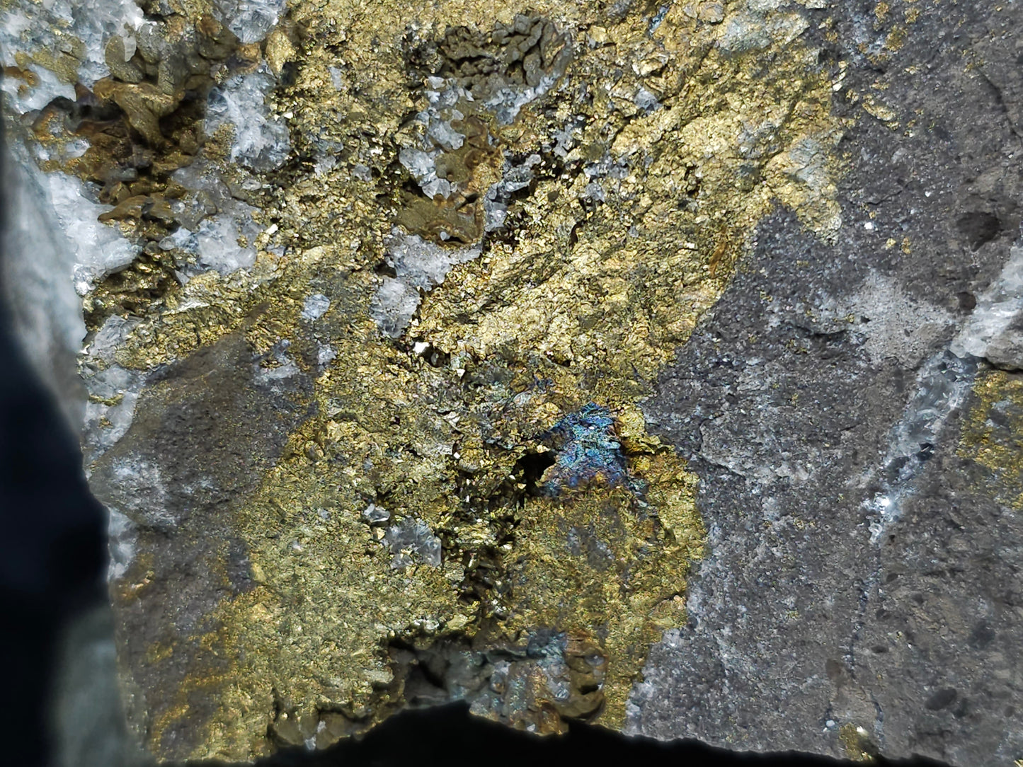 #66058 Iridescent golden Chalcopyrite ore and peacock ore, hydrothermal fossils flower and Calcite with Marcasite and multiple small fossils