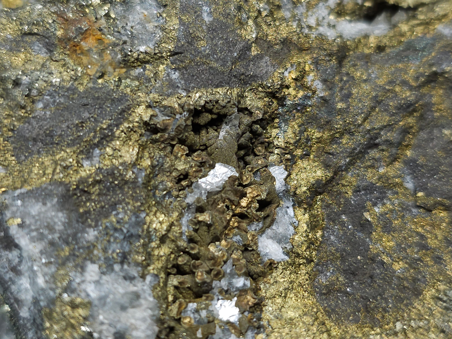 #66058 Iridescent golden Chalcopyrite ore and peacock ore, hydrothermal fossils flower and Calcite with Marcasite and multiple small fossils