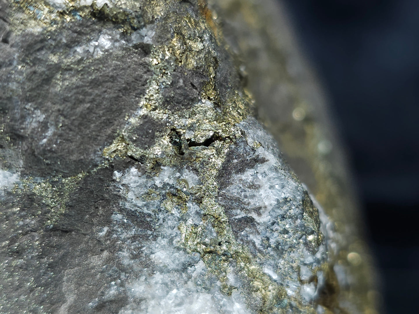 #66058 Iridescent golden Chalcopyrite ore and peacock ore, hydrothermal fossils flower and Calcite with Marcasite and multiple small fossils