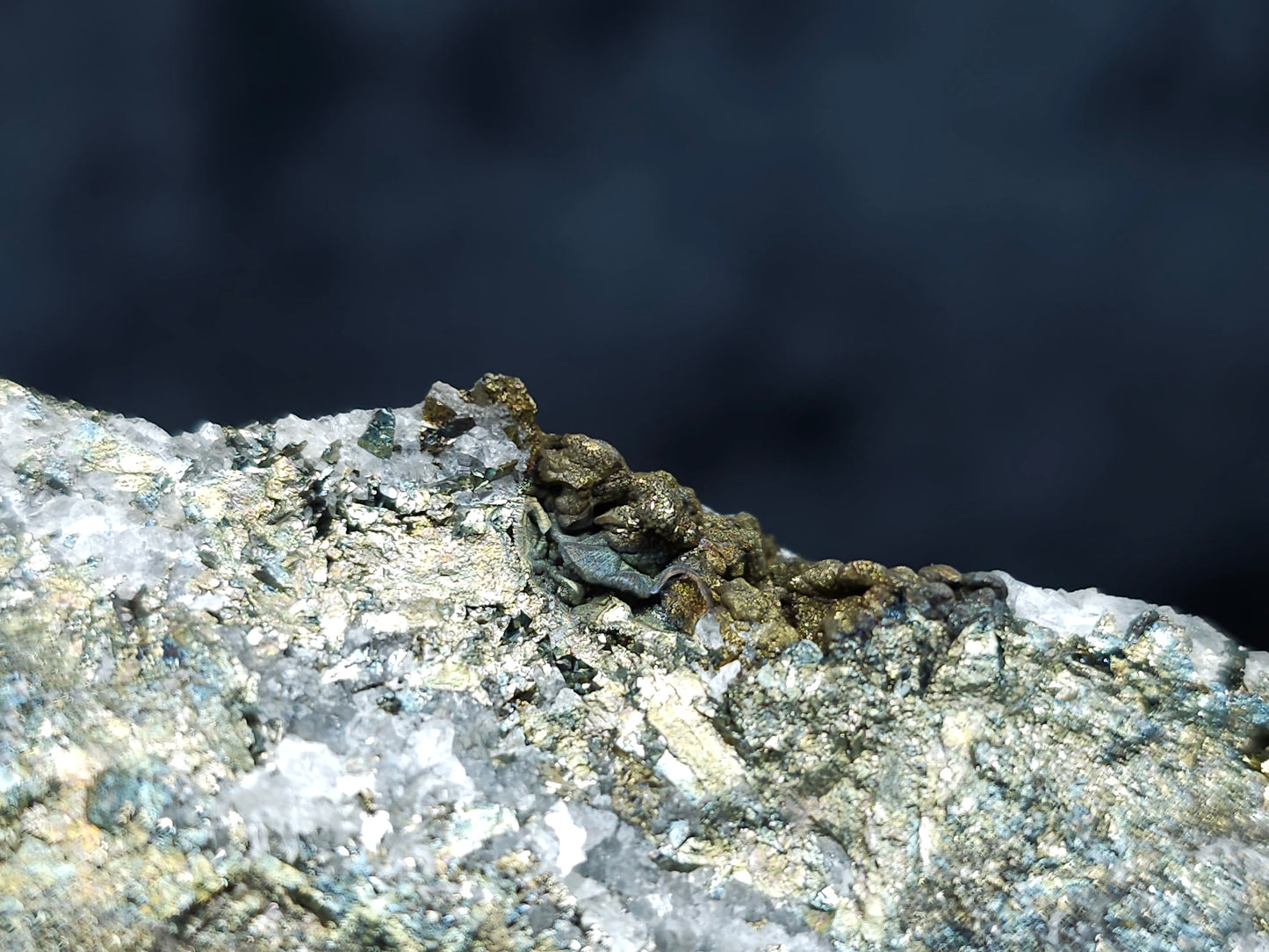 #66058 Iridescent golden Chalcopyrite ore and peacock ore, hydrothermal fossils flower and Calcite with Marcasite and multiple small fossils