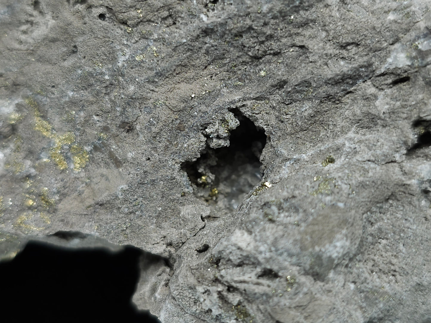 #66061 Iridescent sprinkled golden Chalcopyrite ore, super clear Calcite hydrothermal deposit, with hydrothermal mineral deposit with Dogtooth Spar Calcite on fossils