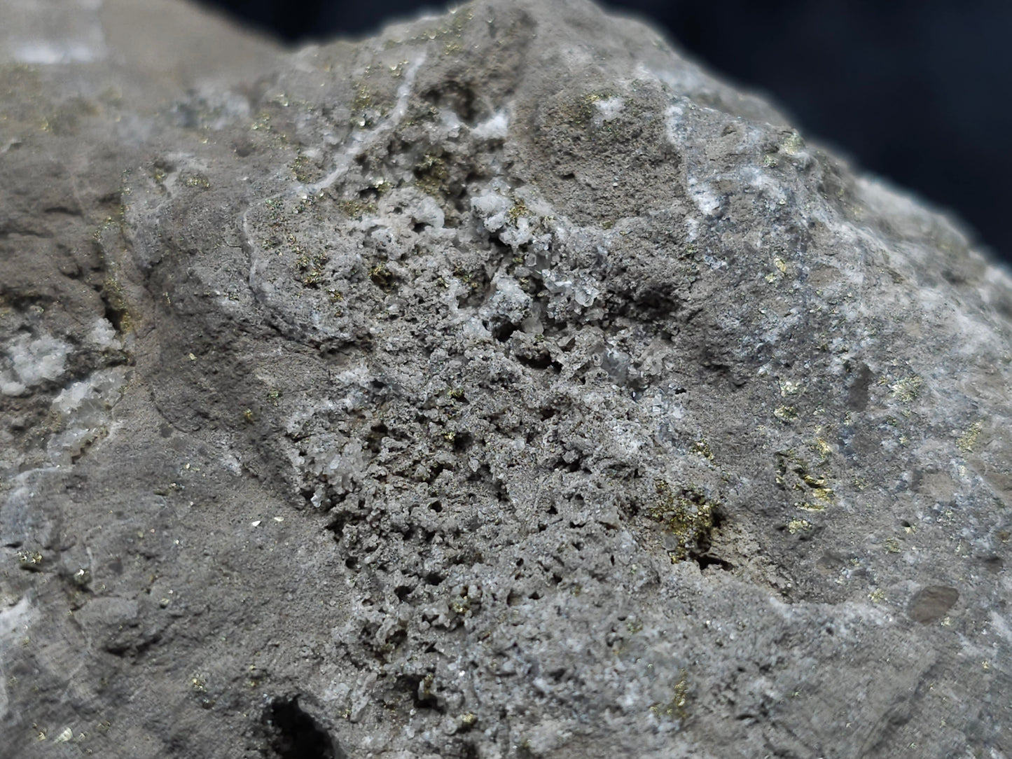 #66061 Iridescent sprinkled golden Chalcopyrite ore, super clear Calcite hydrothermal deposit, with hydrothermal mineral deposit with Dogtooth Spar Calcite on fossils