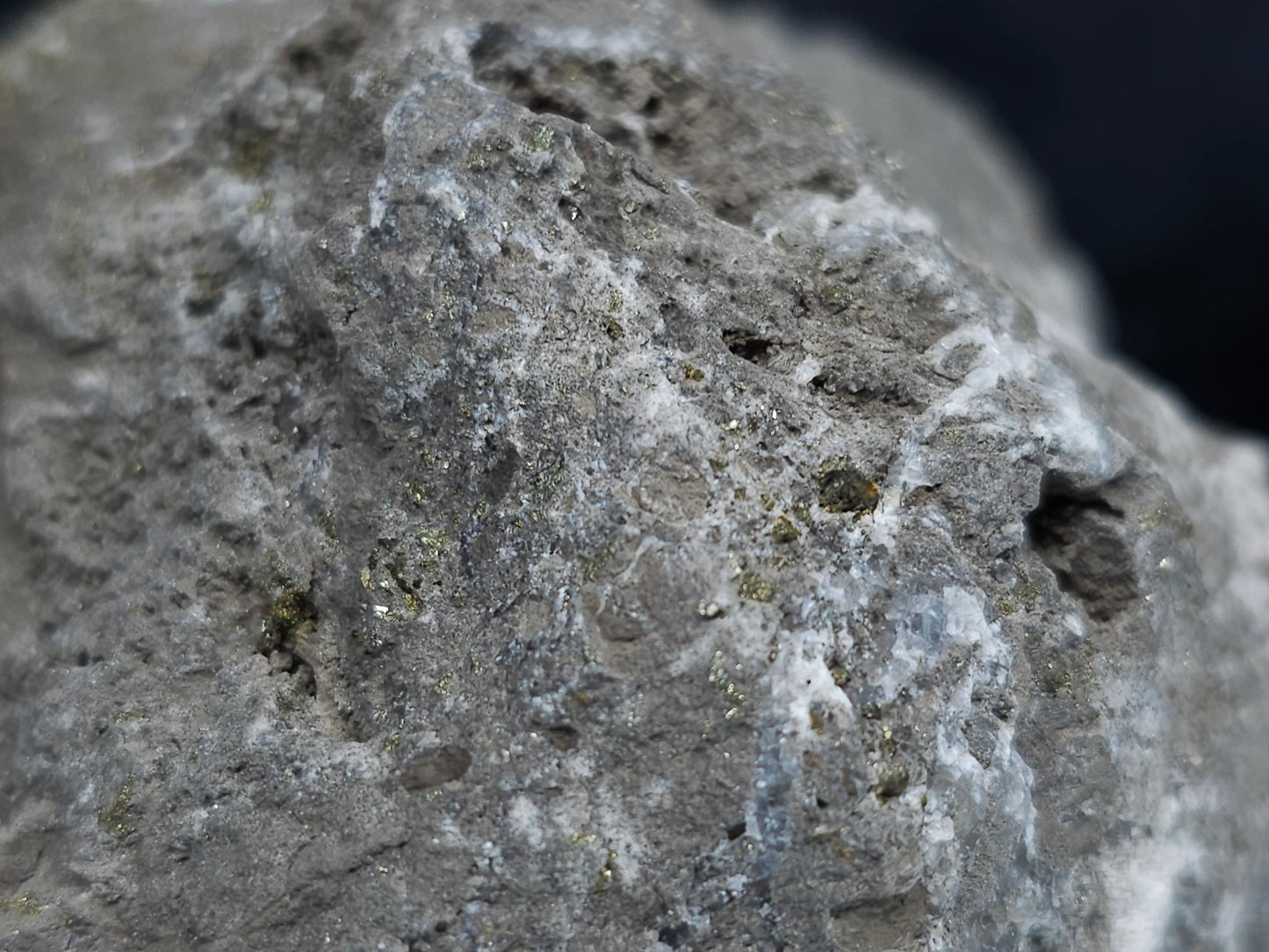 #66061 Iridescent sprinkled golden Chalcopyrite ore, super clear Calcite hydrothermal deposit, with hydrothermal mineral deposit with Dogtooth Spar Calcite on fossils