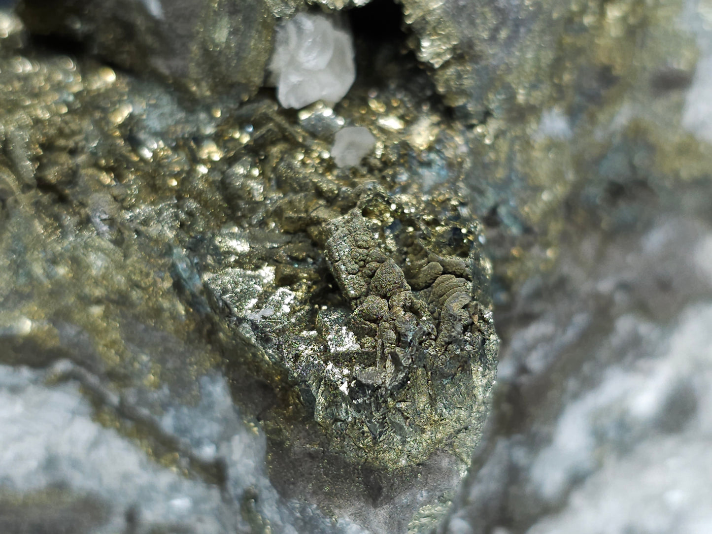 #66062 Nailhead Spar Calcite on iridescent golden Chalcopyrite ore, with stunning peacock Chalcopyrite ore with hydrothermal Calcite deposit and Marcasite among multiple fossils