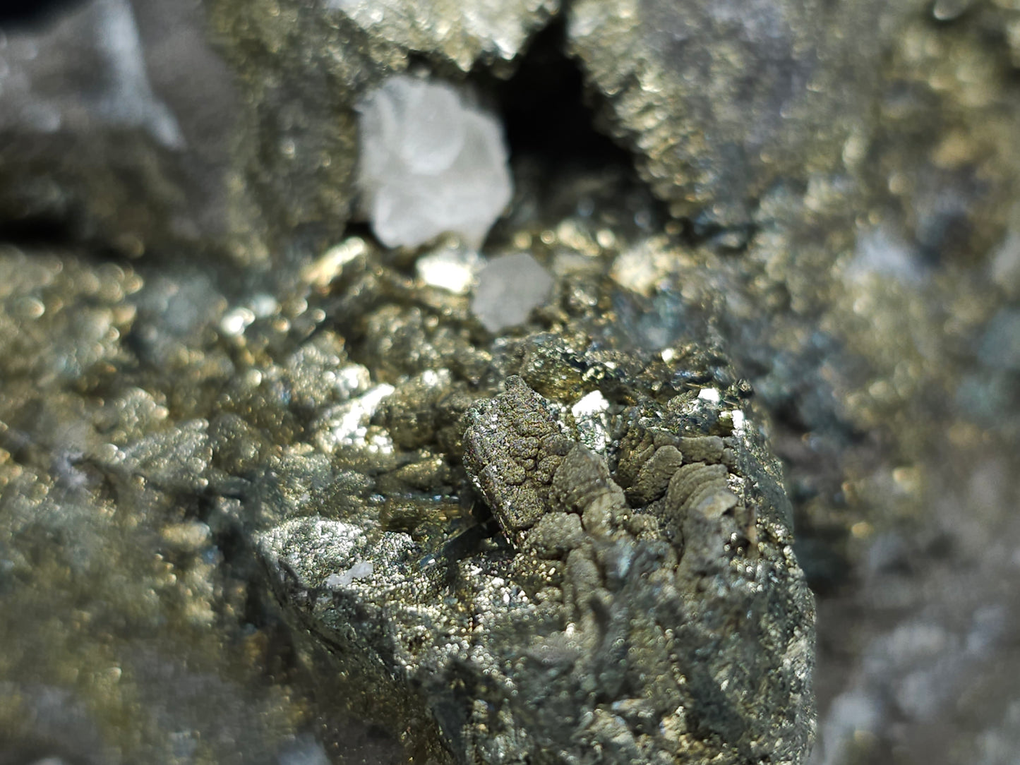 #66062 Nailhead Spar Calcite on iridescent golden Chalcopyrite ore, with stunning peacock Chalcopyrite ore with hydrothermal Calcite deposit and Marcasite among multiple fossils