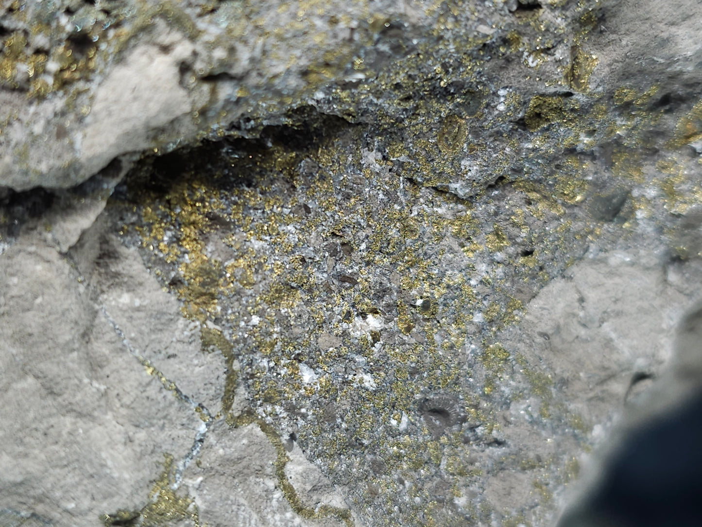 #66064 Super clear Nailhead Spar Clacite, Dogtooth Spar Calcite on hydrothermal peacock and Golden Chalcopyrite ore with hydrothermal Calcite deposit trought multiple small fossils