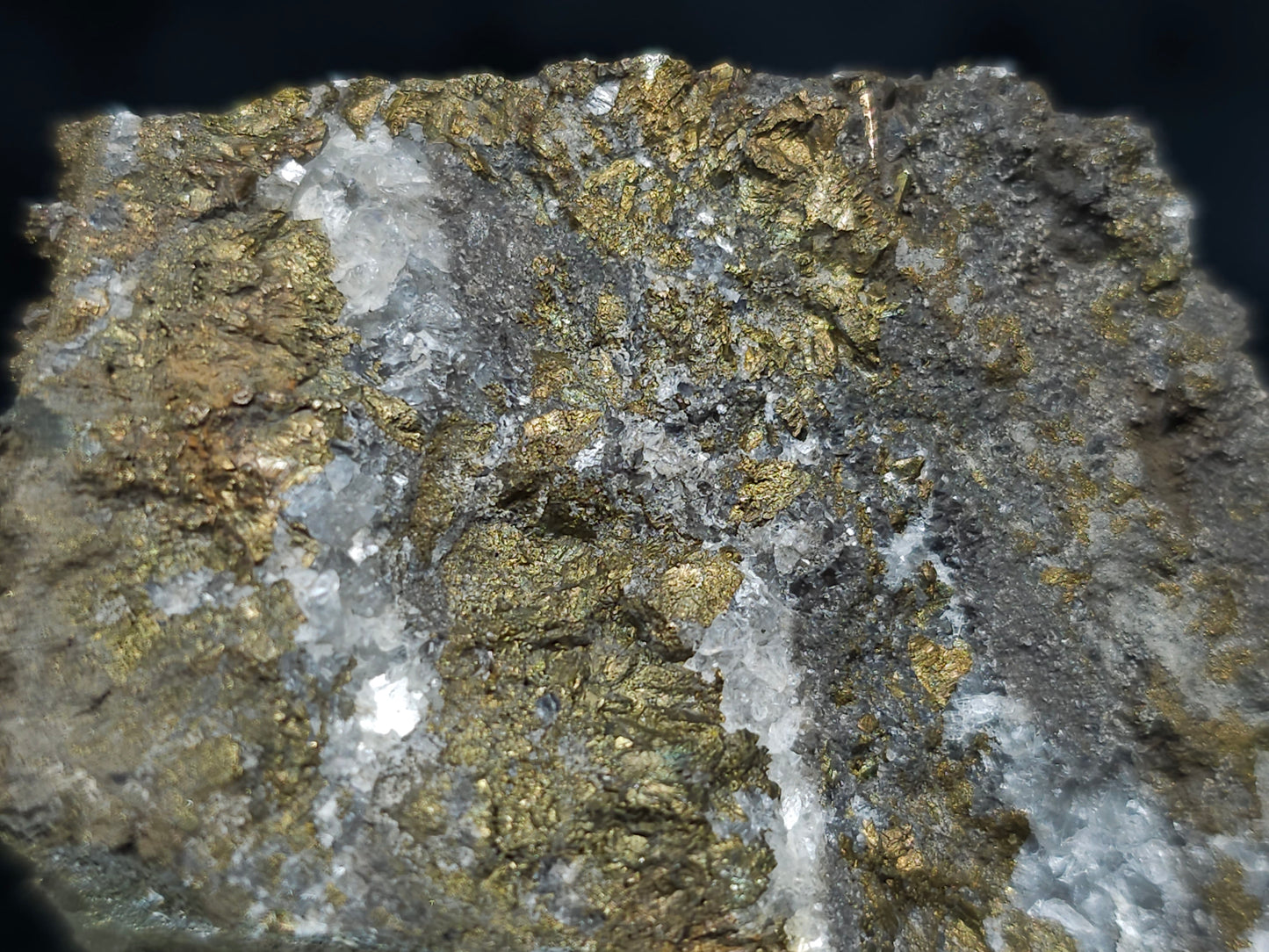 #66111 Iridescent golden Chalcopyrite ore with Dogtooth Spar Calcite on hydrothermal Chalcopyrite deposit, super clear hydrothermal Calcite deposit, small formation of Marcasite on multiple small fossils