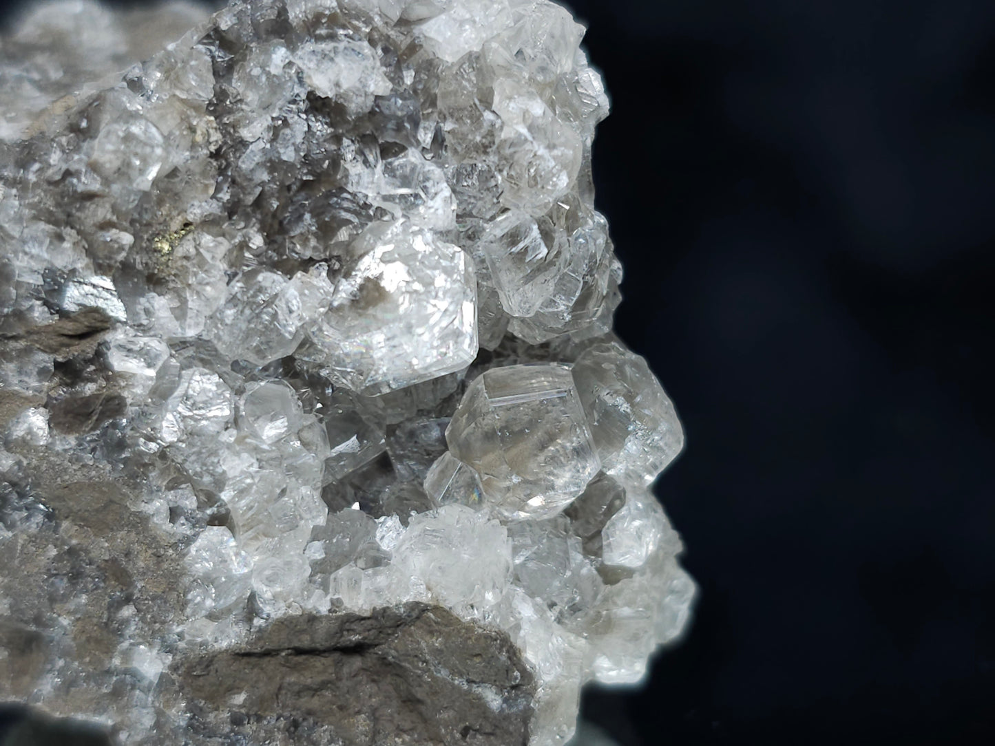 #66113 Fossil flower with peacock Chalcopyrite ore coating and Nailhead Spar Calcite with multiple fossils