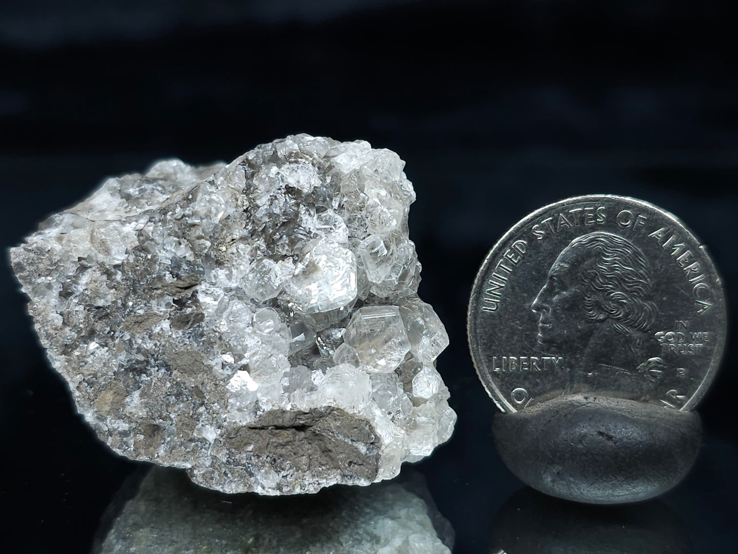 #66113 Fossil flower with peacock Chalcopyrite ore coating and Nailhead Spar Calcite with multiple fossils