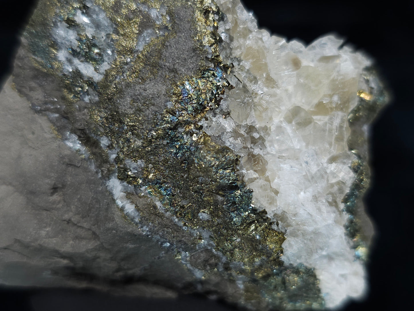 #66116 Iridescent peacock Chalcopyrite ore, hydrothermal Calcite deposit with multiple small fossils