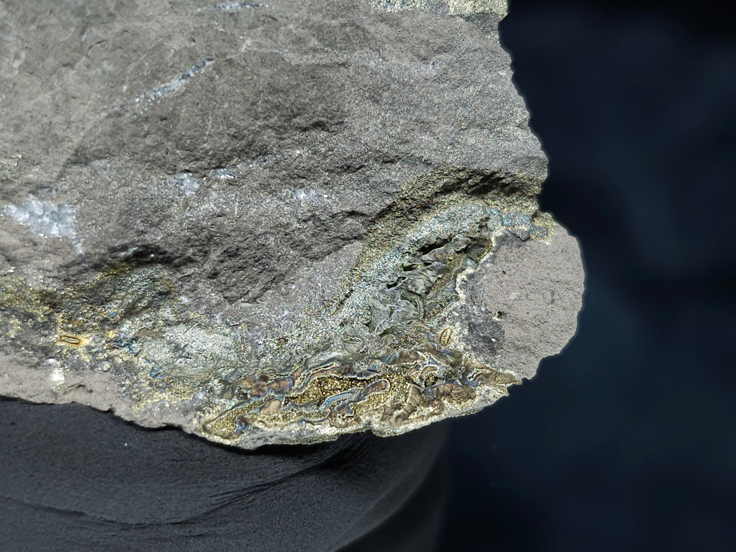 #66122 Iridescent hydrothermal mineral deposit that have golden Chalcopyrite ore also with Marcasite on multiple wonderful small fossils