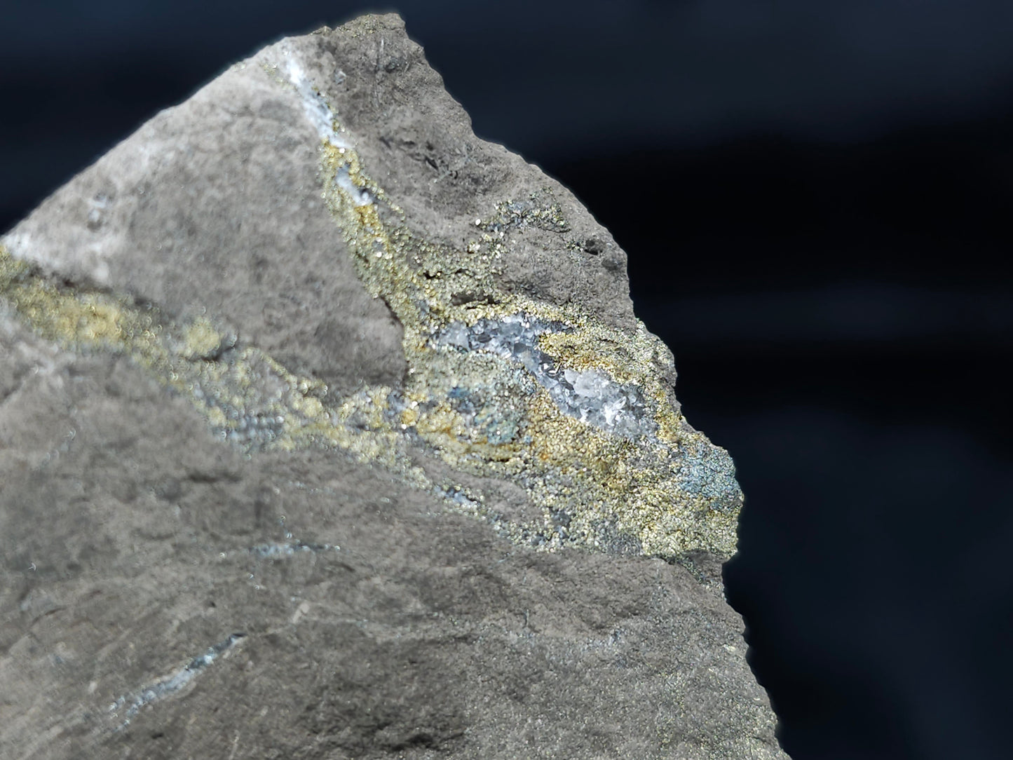 #66122 Iridescent hydrothermal mineral deposit that have golden Chalcopyrite ore also with Marcasite on multiple wonderful small fossils