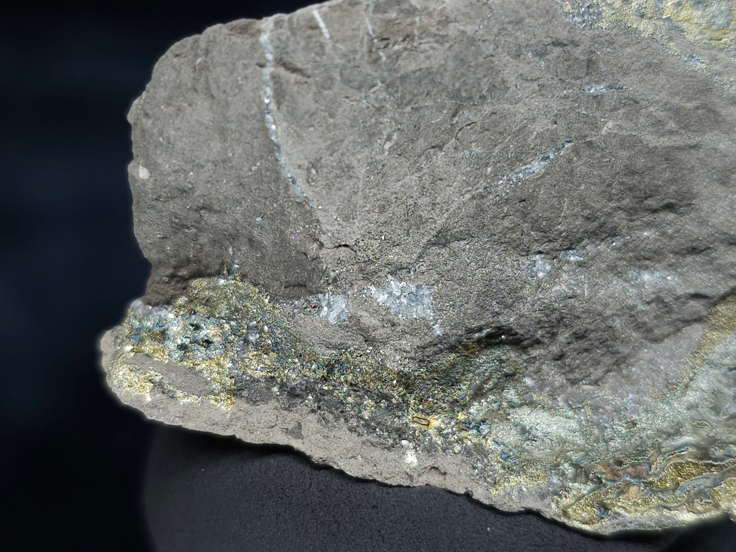 #66122 Iridescent hydrothermal mineral deposit that have golden Chalcopyrite ore also with Marcasite on multiple wonderful small fossils