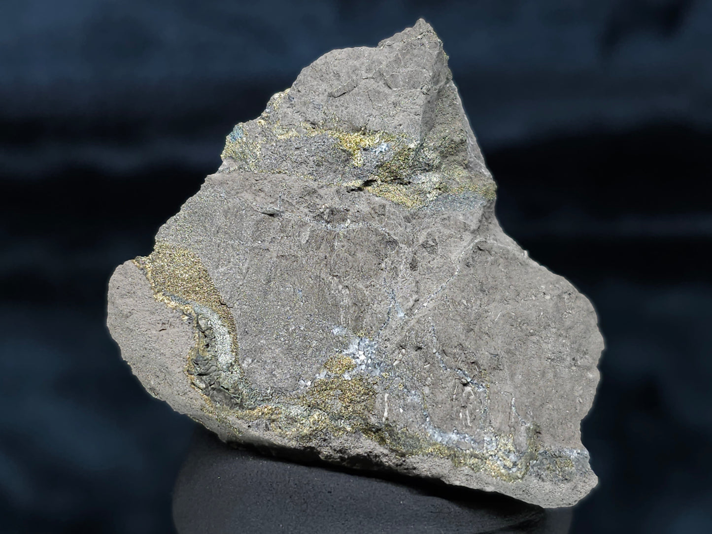 #66122 Iridescent hydrothermal mineral deposit that have golden Chalcopyrite ore also with Marcasite on multiple wonderful small fossils