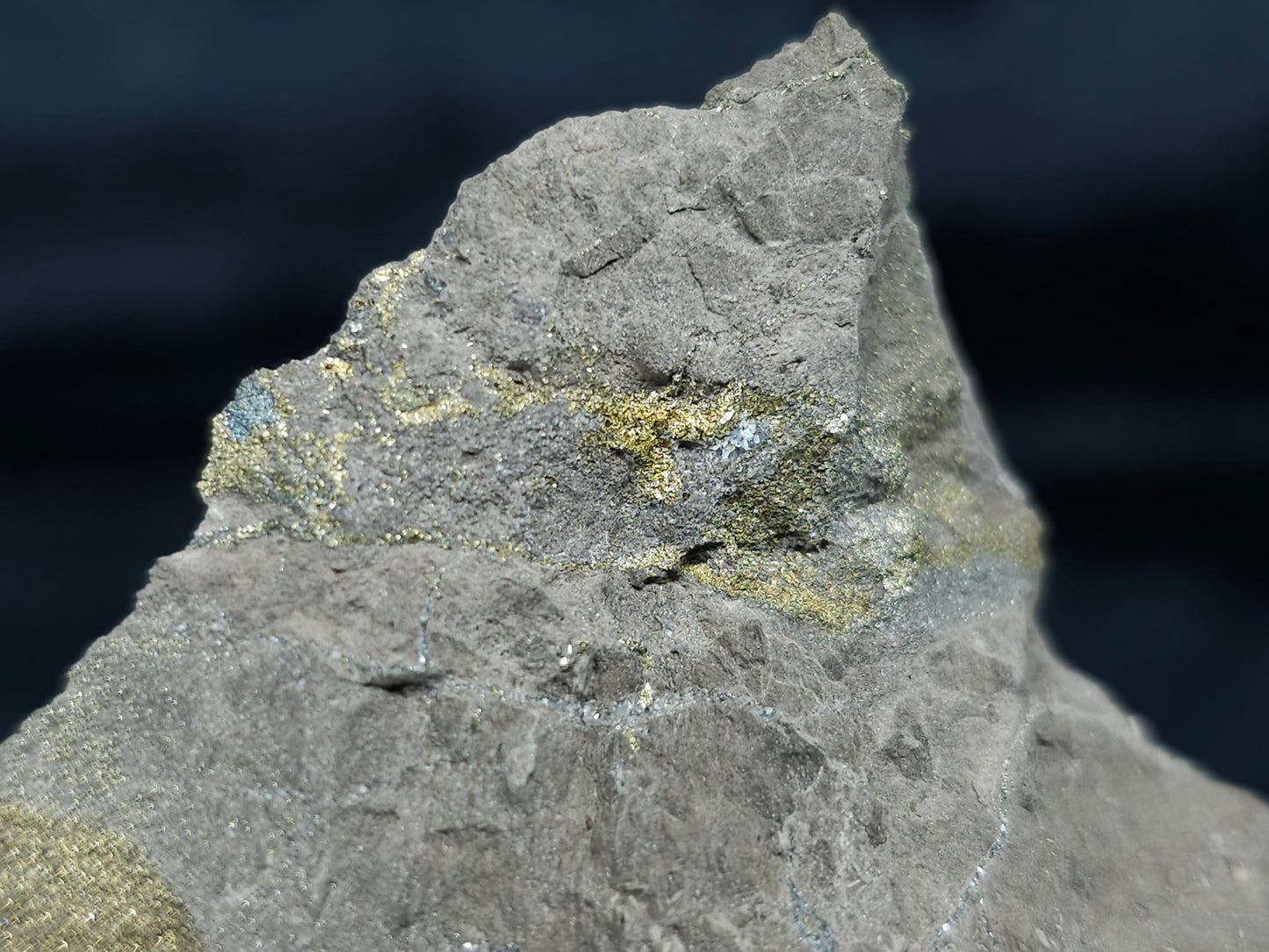 #66122 Iridescent hydrothermal mineral deposit that have golden Chalcopyrite ore also with Marcasite on multiple wonderful small fossils