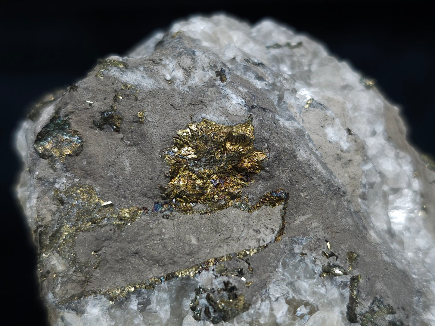 #66123 Iridescent golden Chalcopyrite ore with Marcasite formation, with hydrothermal Calcite deposit with multiple fossils