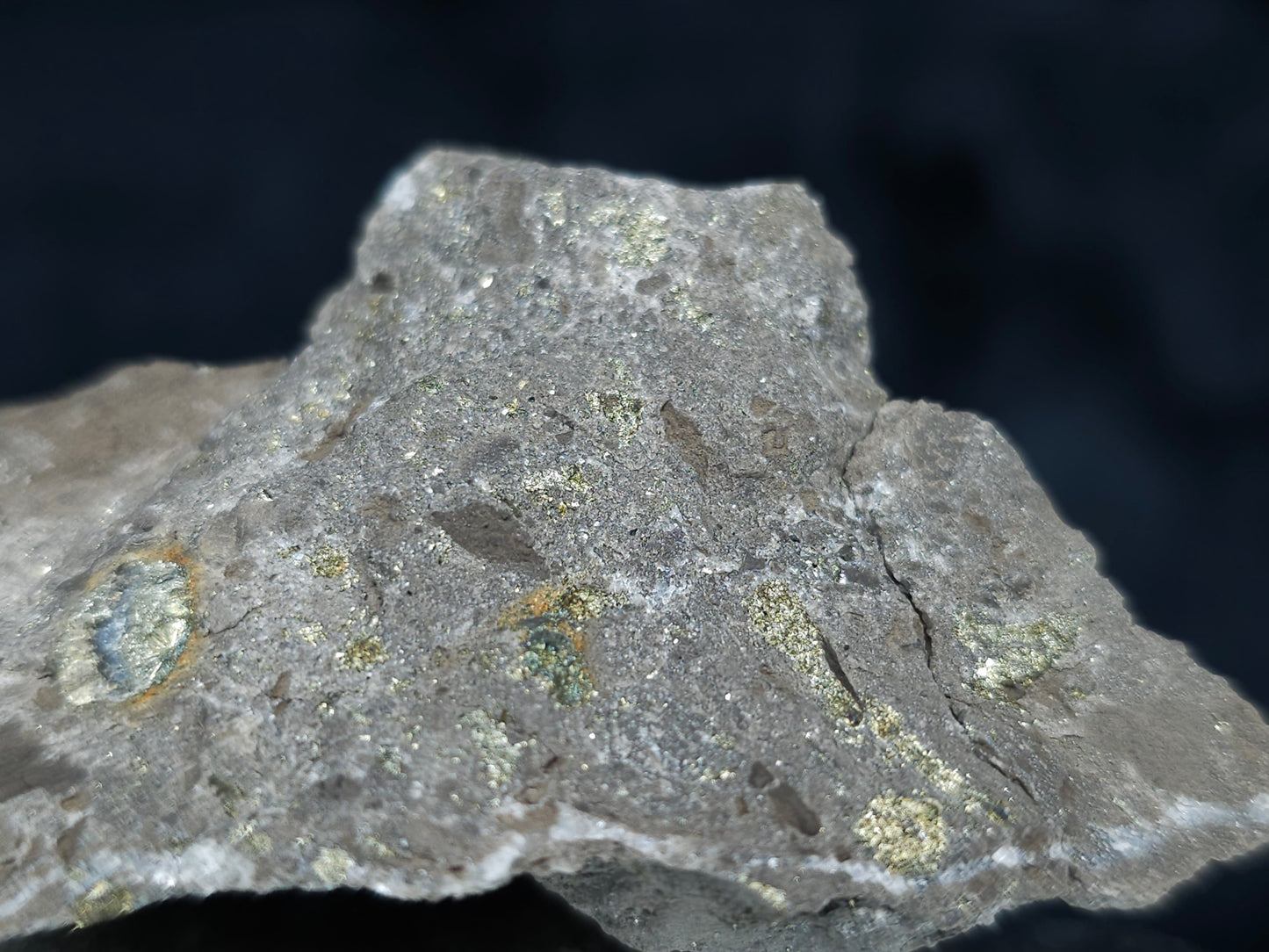 #66124 Hydrothermal Calcite deposit among unusual iron sulfur deposit along with golden Chalcopyrite ore on multiple small fossils