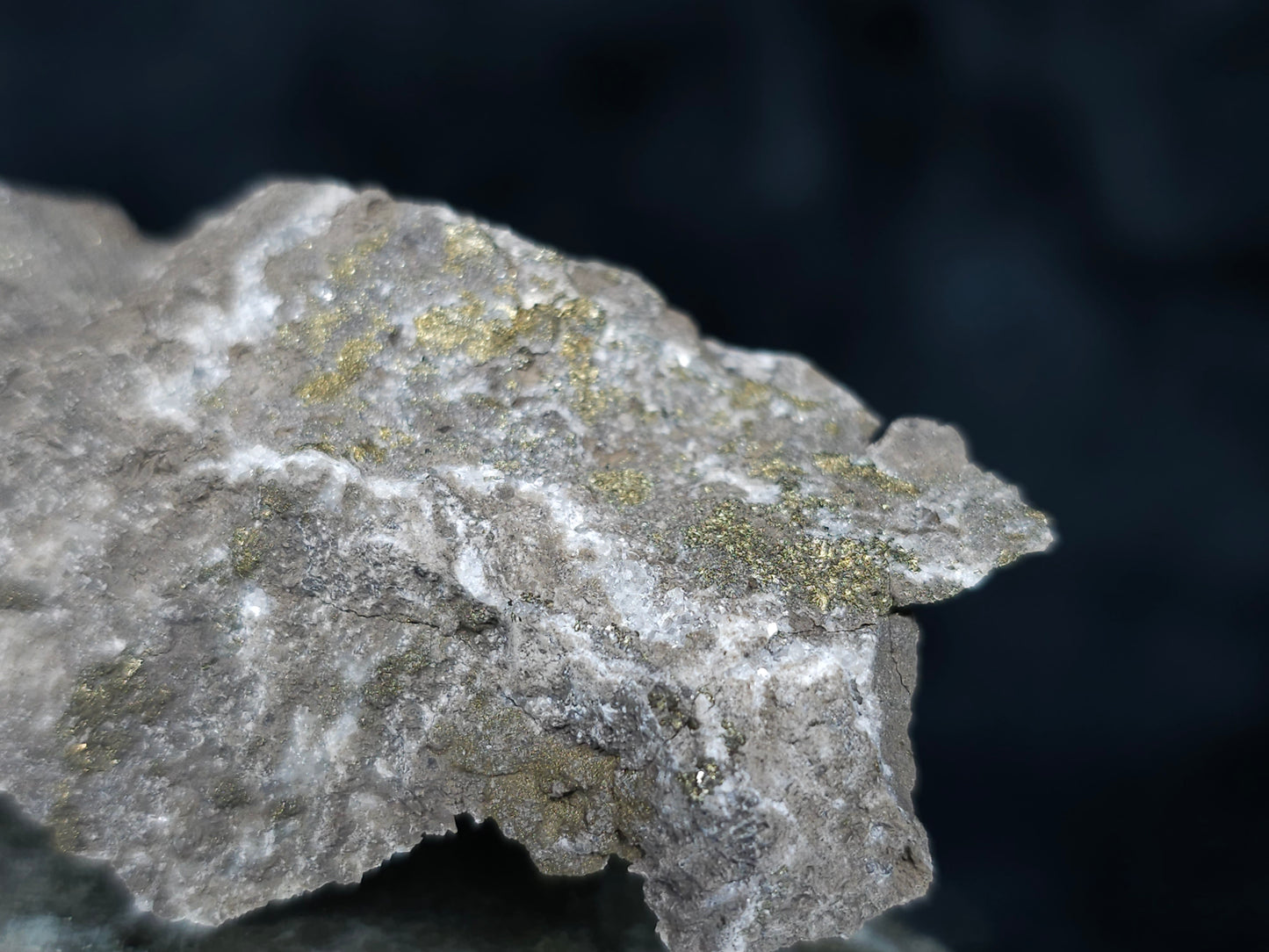 #66124 Hydrothermal Calcite deposit among unusual iron sulfur deposit along with golden Chalcopyrite ore on multiple small fossils