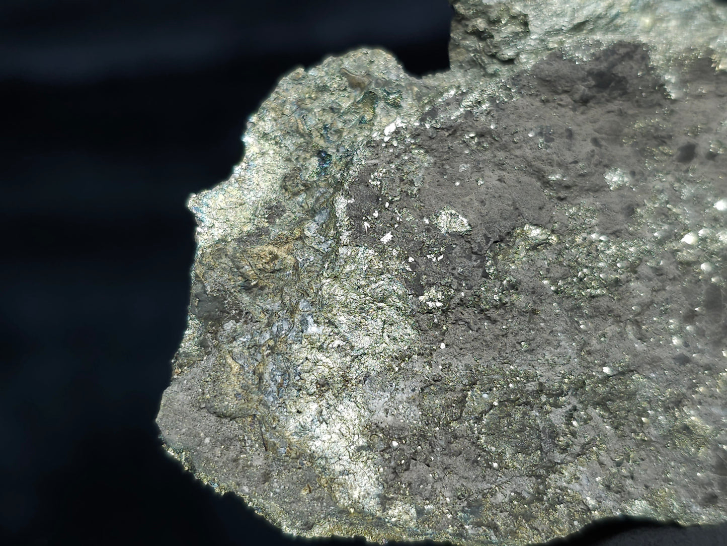 #66125 Bladed Marcasite crystals on sedimentary martrix that also have Chalcopyrite ore among on multiple small fossils