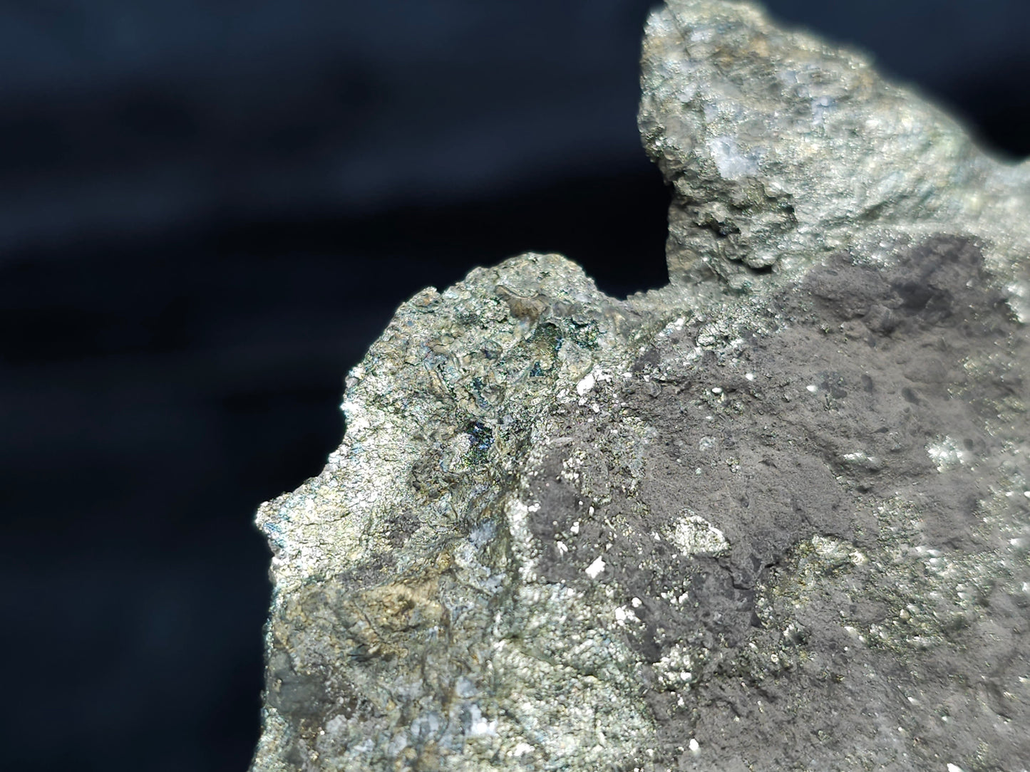 #66125 Bladed Marcasite crystals on sedimentary martrix that also have Chalcopyrite ore among on multiple small fossils