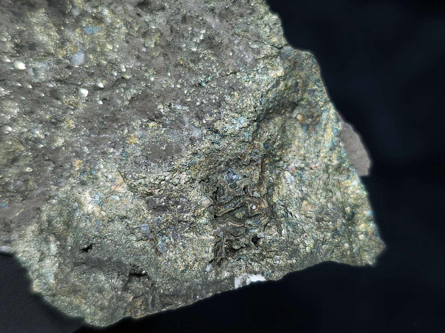 #66125 Bladed Marcasite crystals on sedimentary martrix that also have Chalcopyrite ore among on multiple small fossils