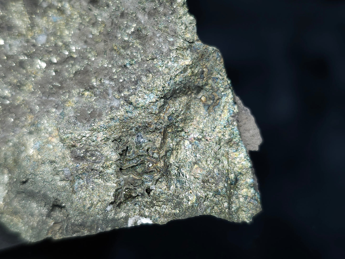 #66125 Bladed Marcasite crystals on sedimentary martrix that also have Chalcopyrite ore among on multiple small fossils