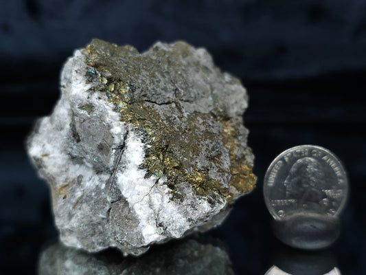 #66128 Hydrothermal Calcite deposit golden Chalcopyrite ore with beautiful with multiple small fossils