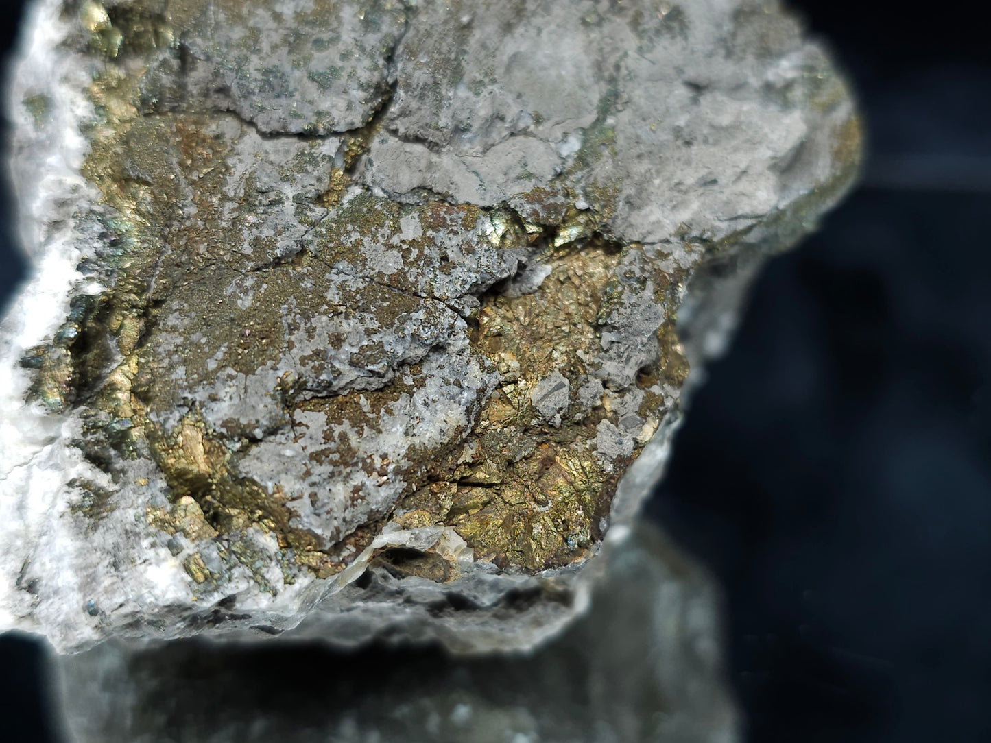 #66128 Hydrothermal Calcite deposit golden Chalcopyrite ore with beautiful with multiple small fossils