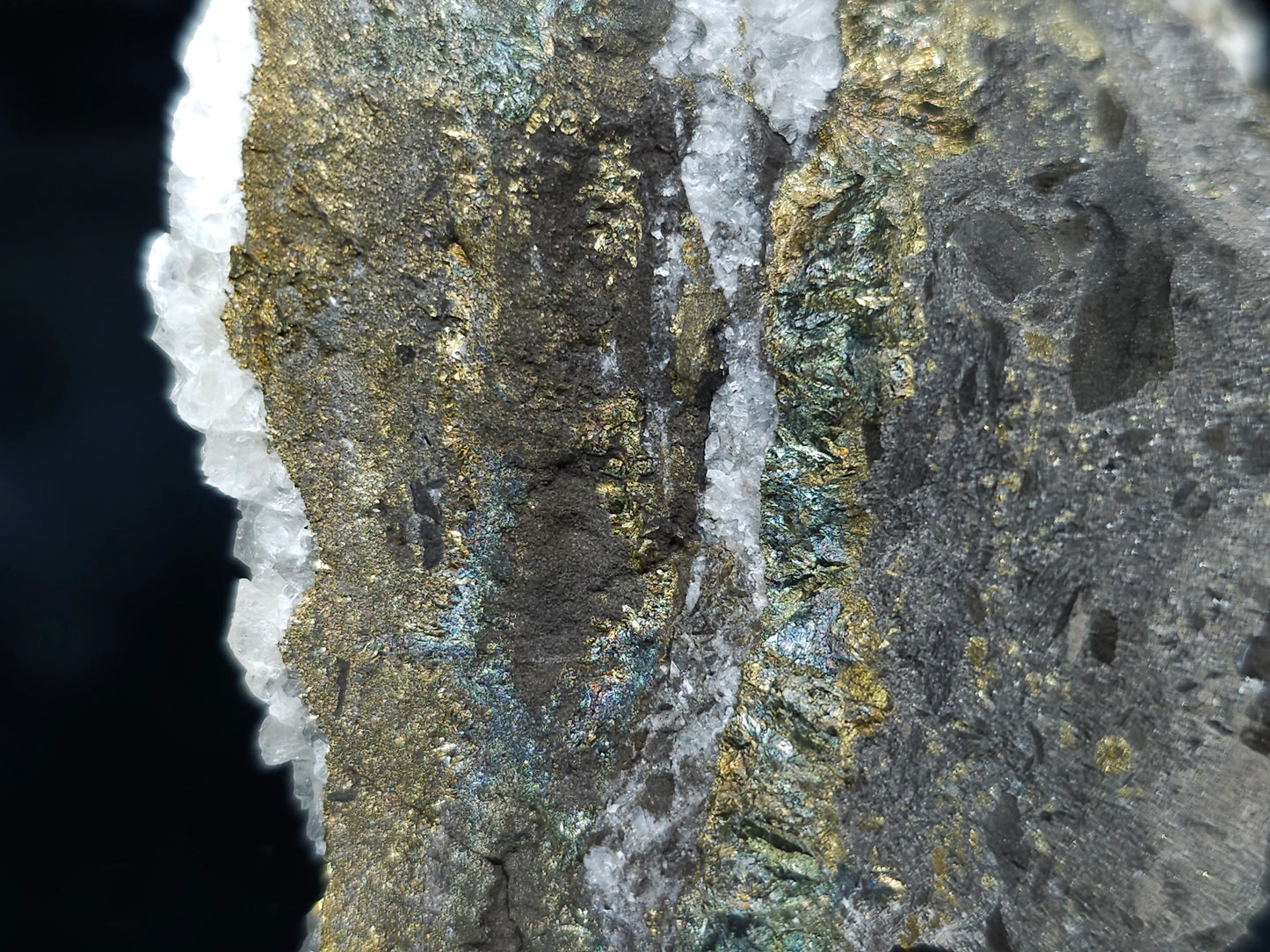 #66130 Hydrothermal iridescent golden and peacock Chalcopyrite ore deposit with hydrothermal Calcite deposit with Marcasite on multiple small fossils