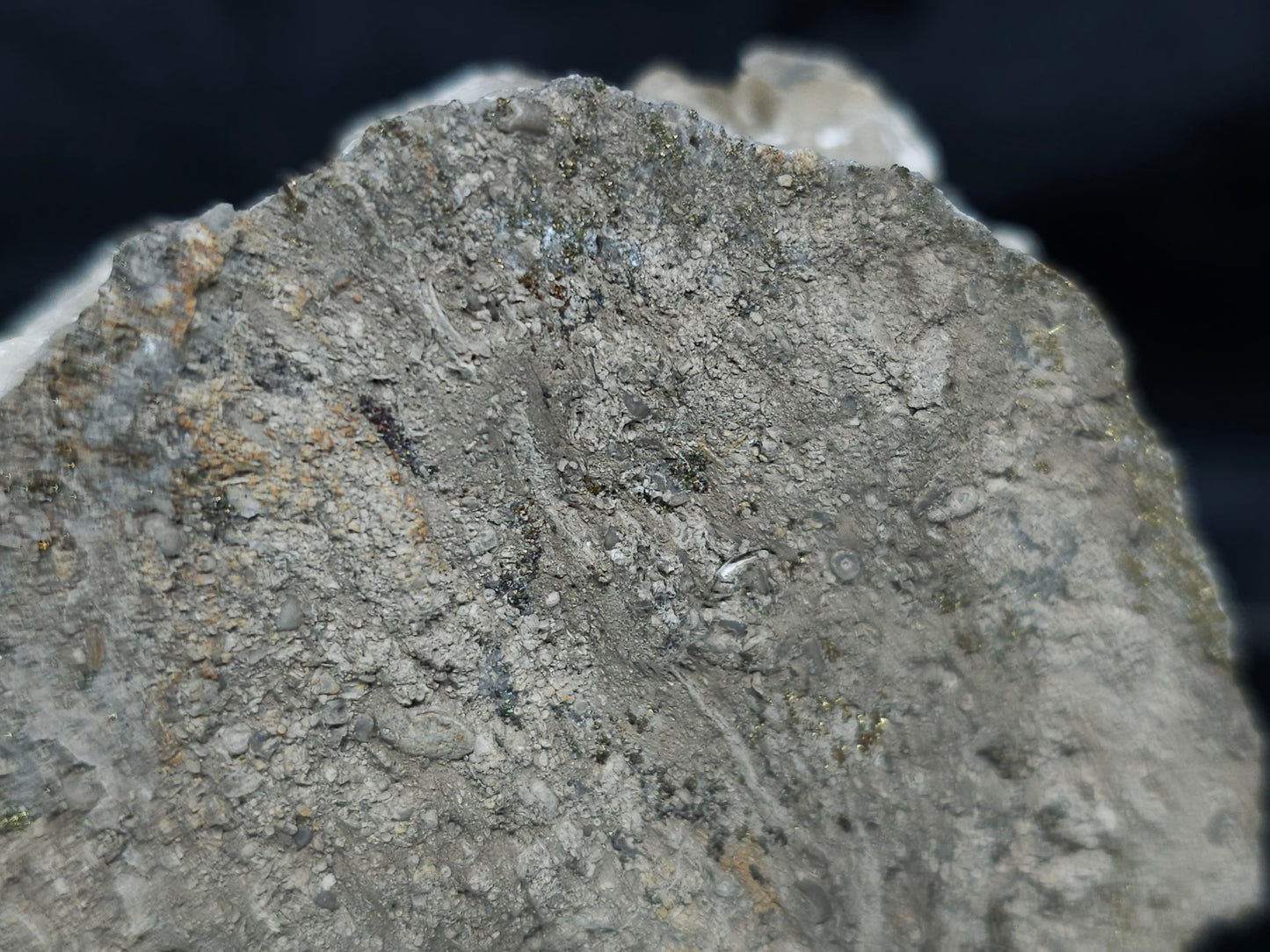 #66131 Iridescent golden Chalcopyrite ore on hydrothermal Nailhead Spar Calcite deposit with multiple small fossils